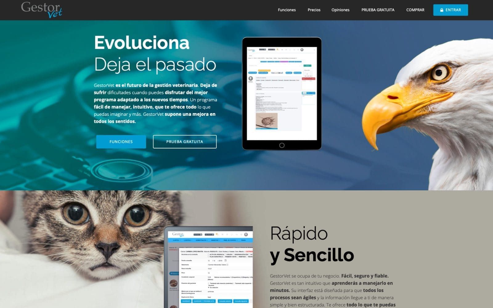 Captura de pantalla de web GestorVet Software veterinario