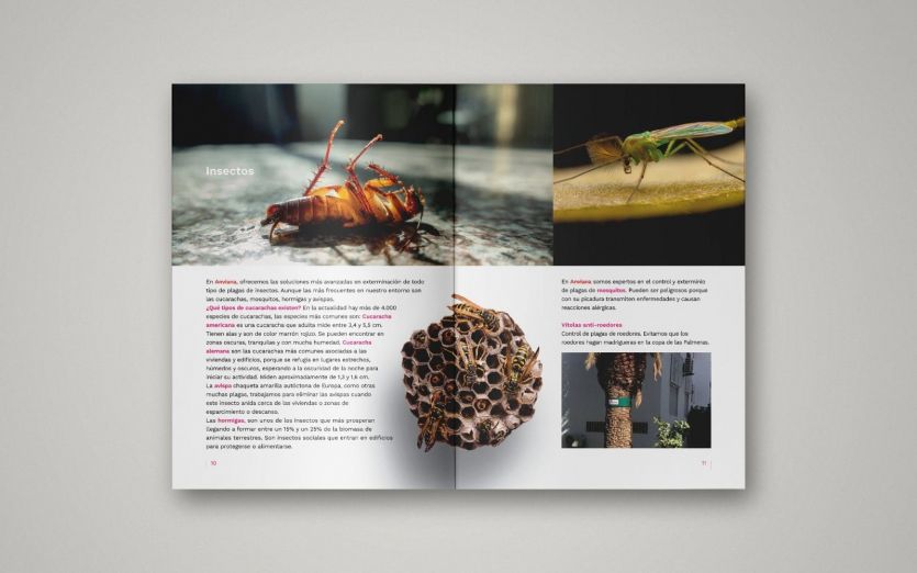 Páginas interiores del libro de la empresa Anviana Sanidad Ambiental, dedicado a sus procesos de trabajo.